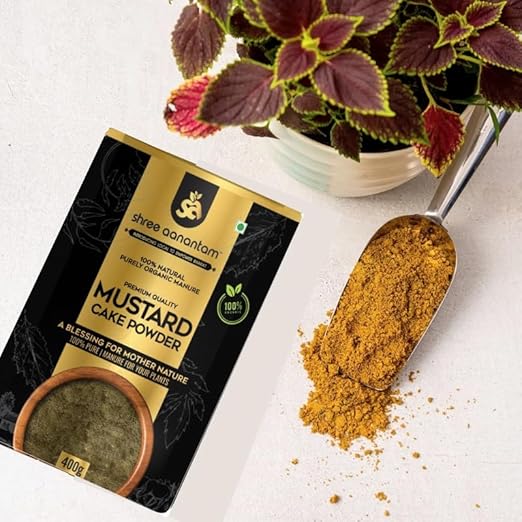 Mustard Cake Powder